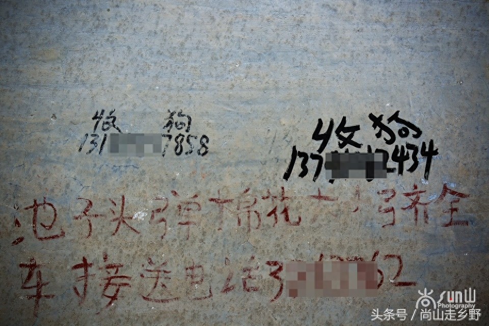 农村的“收狗”小广告，泛滥如城里“开锁”和“通下水道”！