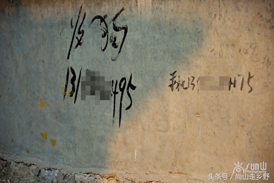 农村的“收狗”小广告，泛滥如城里“开锁”和“通下水道”！