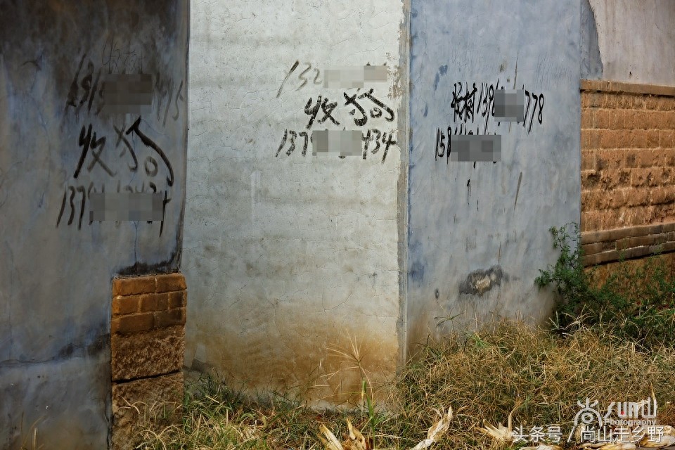 农村的“收狗”小广告，泛滥如城里“开锁”和“通下水道”！