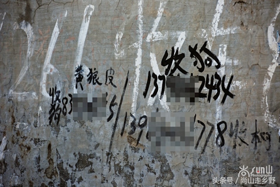 农村的“收狗”小广告，泛滥如城里“开锁”和“通下水道”！