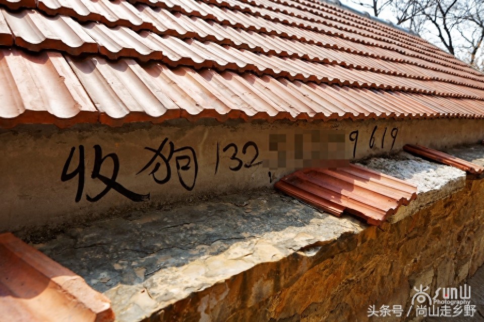 农村的“收狗”小广告，泛滥如城里“开锁”和“通下水道”！