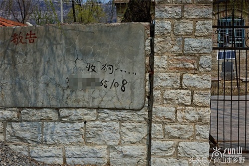 农村的“收狗”小广告，泛滥如城里“开锁”和“通下水道”！