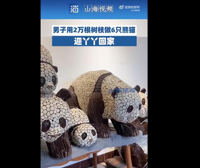 众星发文欢迎丫丫回家 我们的“长公主”还是有人宠的 