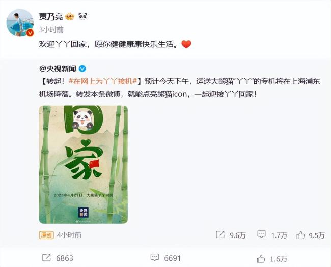 众星发文欢迎丫丫回家 我们的“长公主”还是有人宠的 