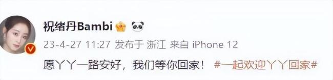 众星发文欢迎丫丫回家 我们的“长公主”还是有人宠的 