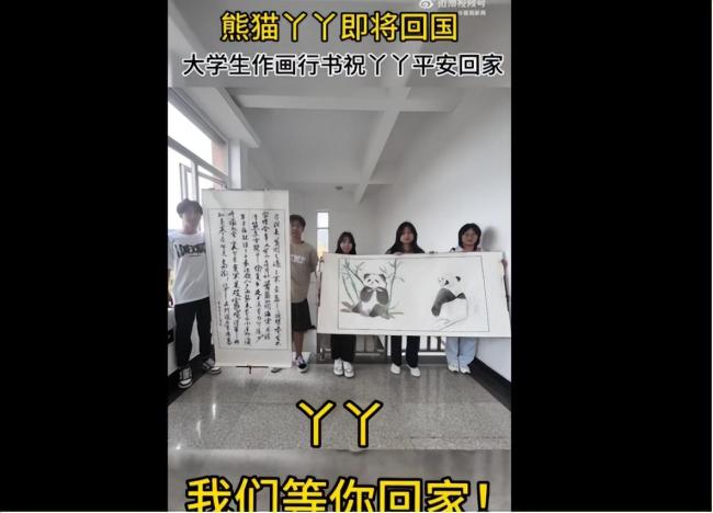 众星发文欢迎丫丫回家 我们的“长公主”还是有人宠的 