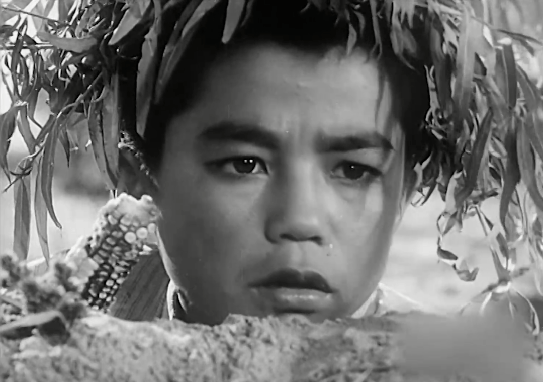 真实的“小兵张嘎”：12岁入伍，弹无虚发，日军吓得尊称“阎王”