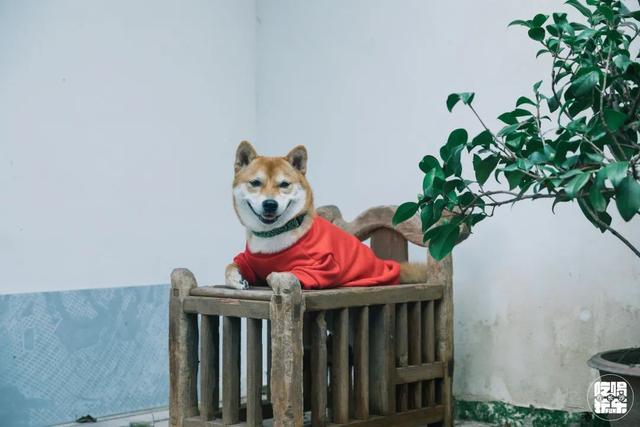 长沙市古玩市场有几处（来长沙古玩跳蚤市场探秘）(39)