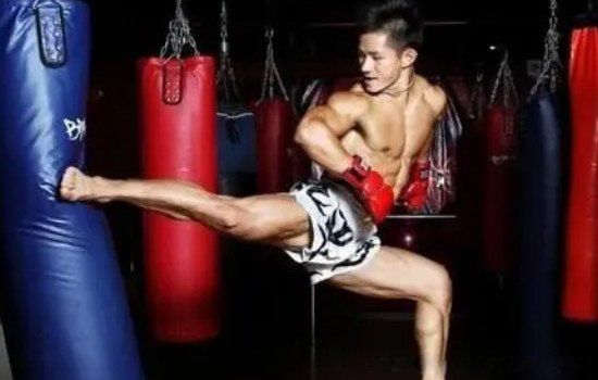 杨建平台上打日本人全视频原声 KO对手比赛是真的吗