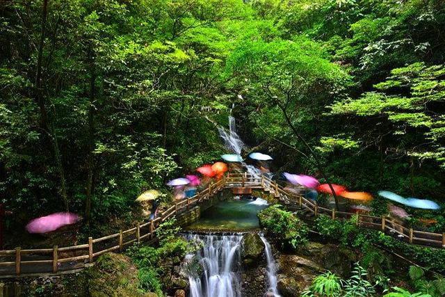 重庆必须去的旅游景点推荐(重庆最值得打卡的5处景点)(6)