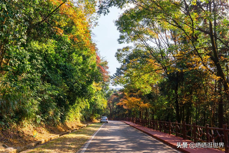 石门县属于哪个市(湖南石门县属于哪个市)
