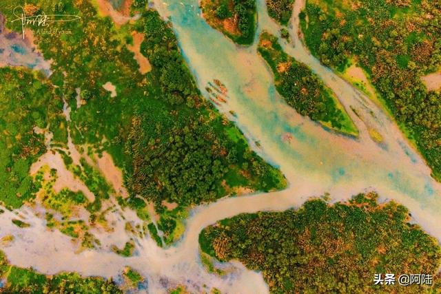 杭州七孔桥简介(杭州最低调的十七孔桥)(8)