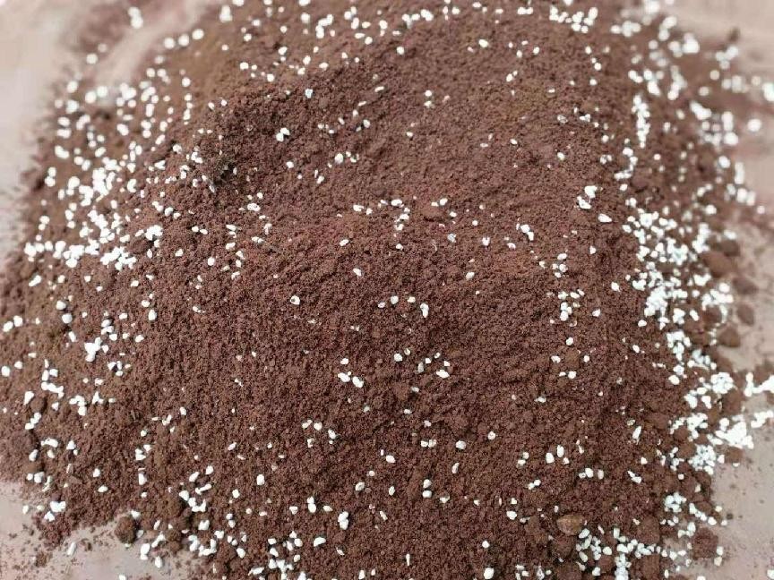 澳洲石斛的养殖方法和注意事项(澳洲香水石斛的养护技巧)