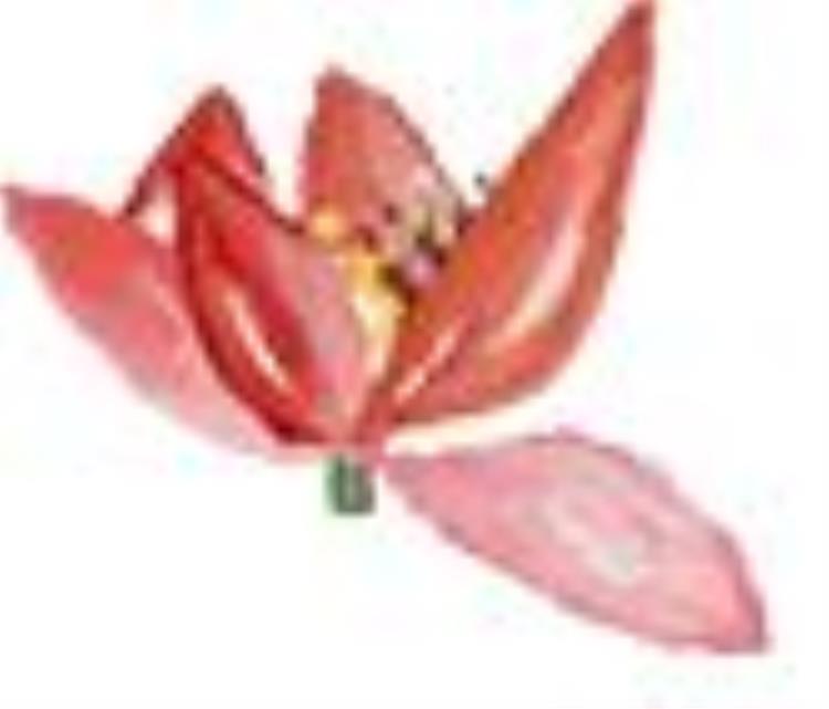 热҈҈热҈҈热҈高温预警收藏好这份端午出游指南放粽一夏注意防暑