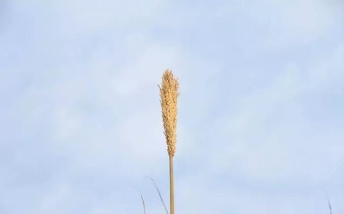 给老婆吵架闹离婚短信挽回（离婚后如何挽回婚姻）