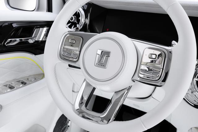 坦克300赛博朋克版本评测（静态解析坦克300赛博朋克版）(7)