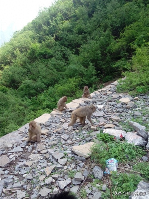 河南省 济源市 五龙口风景区
