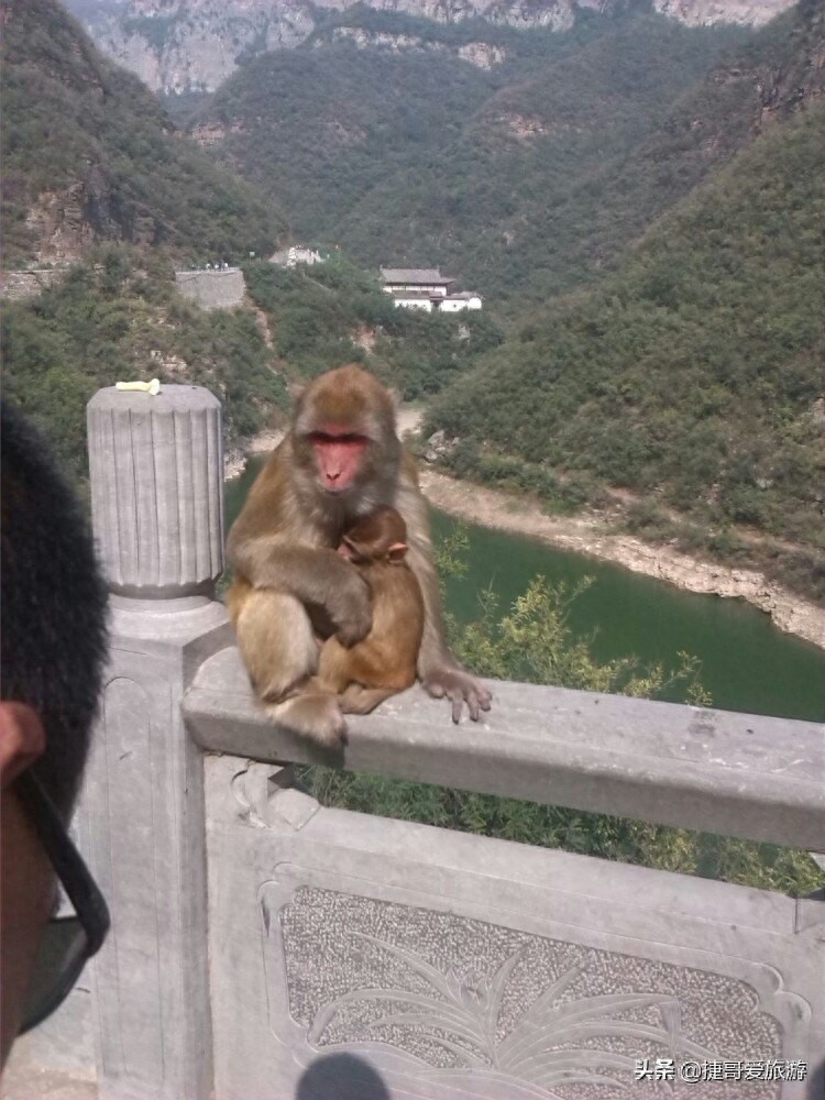 河南省 济源市 五龙口风景区