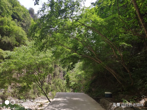 晋城凤凰欢乐谷（苗胜文原创图集）