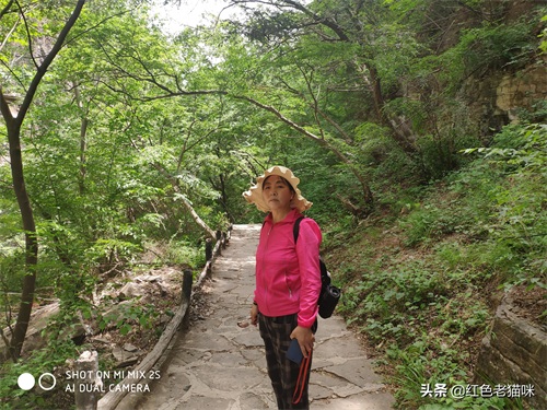 晋城凤凰欢乐谷（苗胜文原创图集）