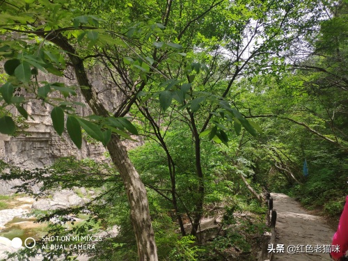 晋城凤凰欢乐谷（苗胜文原创图集）