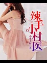 《辣手小村医》小说封面