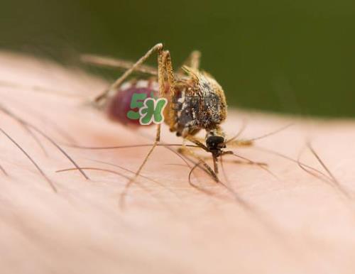 九月份还有蚊子吗？9月份还有蚊子吗？