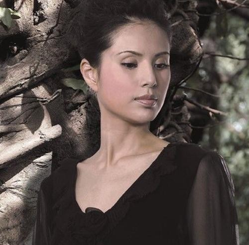 郭应泉为什么甩了小龙女（李若彤与男友相恋十年为何分手）