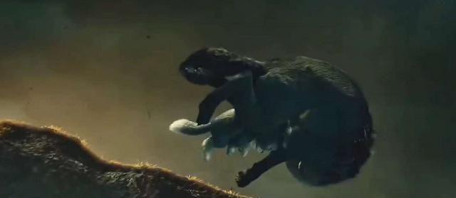 《熊出没》小狼女不杀生?其实有两条命都是因为它被终结的!