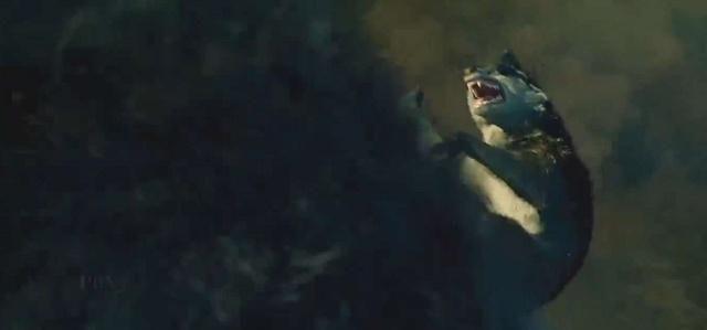 《熊出没》小狼女不杀生?其实有两条命都是因为它被终结的!