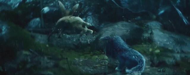 《熊出没》小狼女不杀生?其实有两条命都是因为它被终结的!