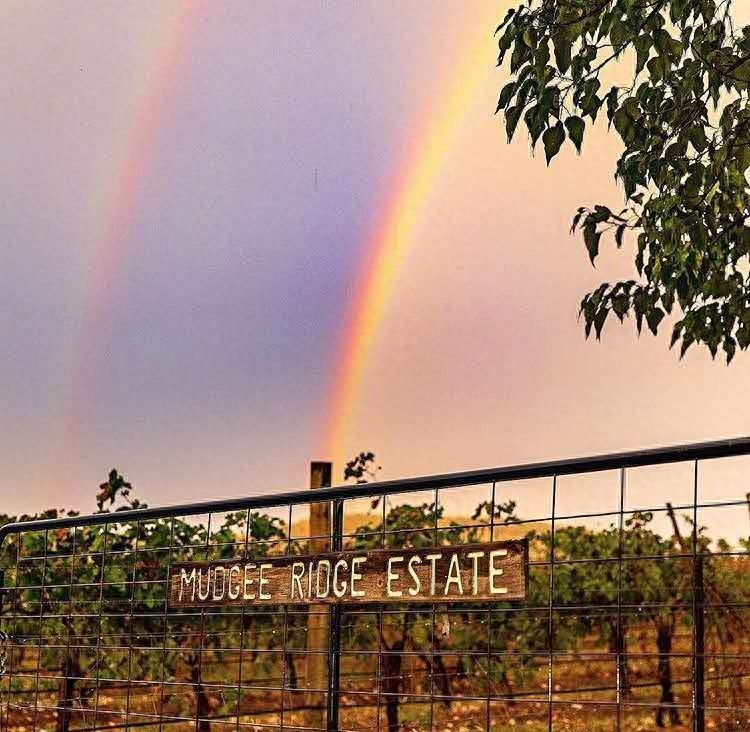 情感图 封面图｜热脸贴冷屁股的事情再也不要去做了