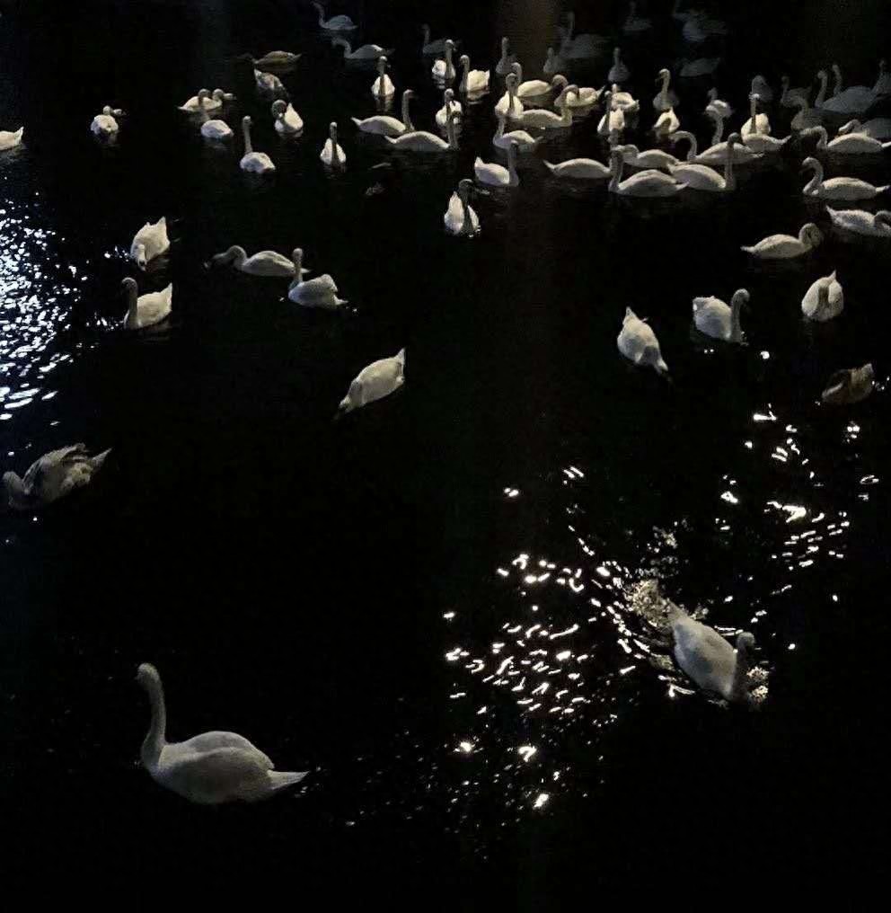 情感图 封面图｜热脸贴冷屁股的事情再也不要去做了