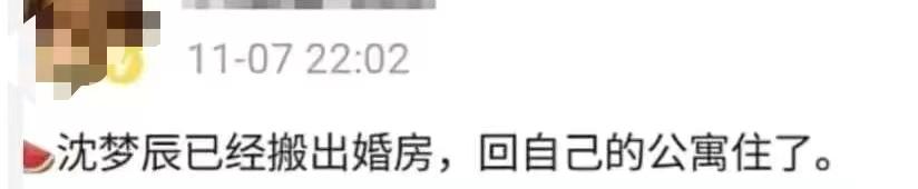 龙丹妮老公（沈梦辰现身支持老公话剧）